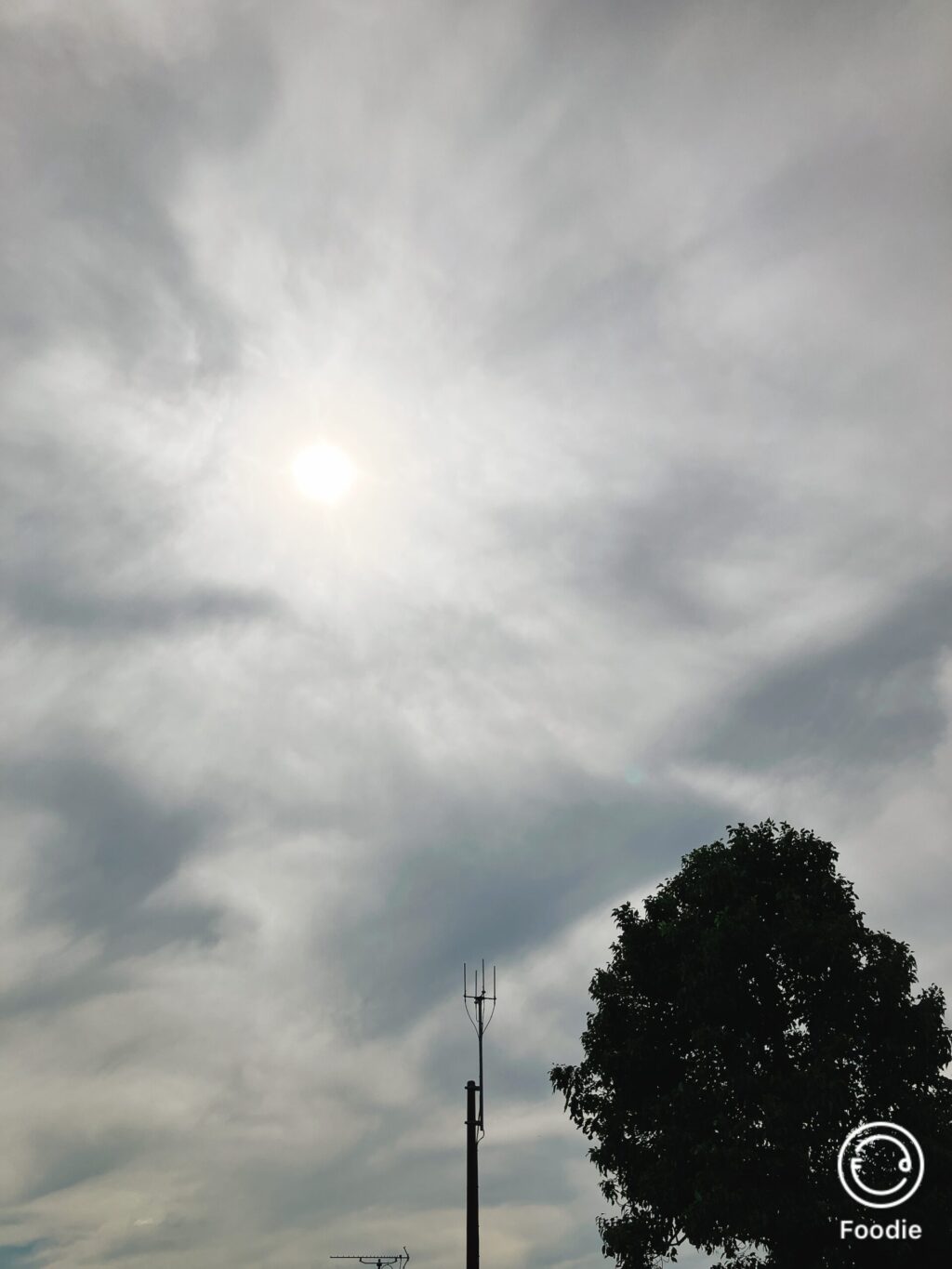 曇り空の合間から柔らかな日差しが差し込む秋の空。シルエットになった木とアンテナが季節の移ろいを感じさせる。