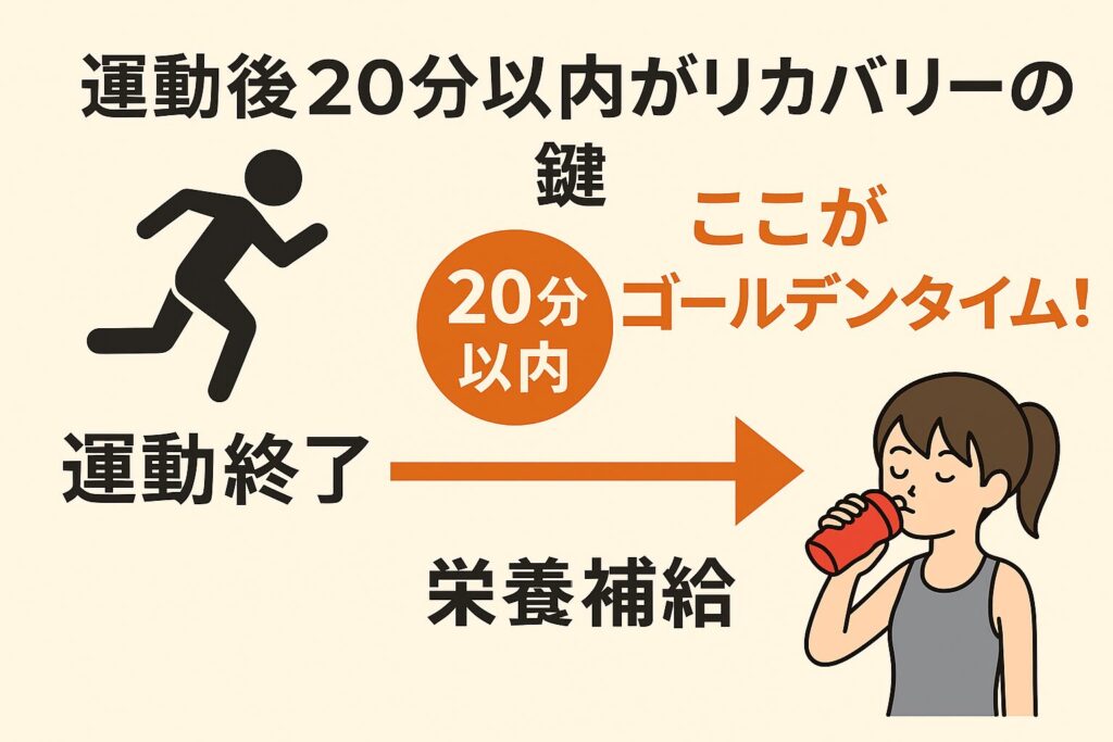 運動後20分以内の栄養補給がリカバリーの鍵であることを示す図解
