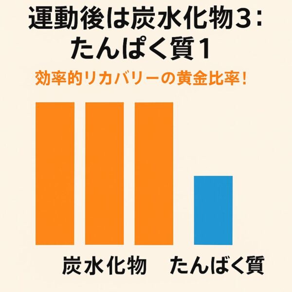 運動後の効率的リカバリーは炭水化物3対たんぱく質1の黄金比率を示すグラフ
